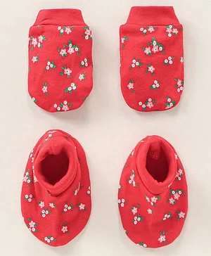 OHMS Booties Set Pack Of 2 - Multicolor