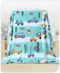 Babyhug Premium City Print Coral Blanket- Sea Green