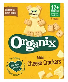 First Weaning Organic Multi Millets with Dry Fruits