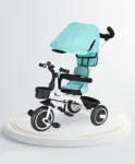 Play Nation Little Zebra Kids Tricycle with Parental...