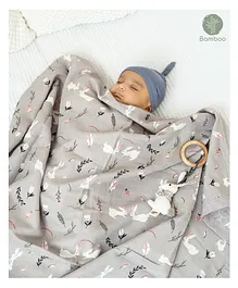 Aariro Organic Cotton Reversible Muslin Blanket Follow...