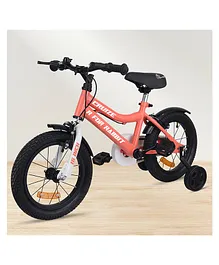 R for Rabbit Upsy Daisy Cool Baby Carrier cum Kangaroo...