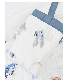 Babyhug Premium Knitted Cotton All Season Blanket...