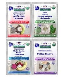 Nutribray Braylac Cereal Multigrain Mixed Fruits 300 g