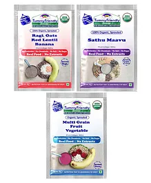 Hapup Sprouted Ragi Mix Instant Porridge -